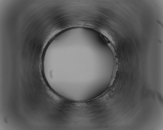 X0000091921136200710031033