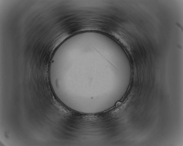 X0000091921137200710031033