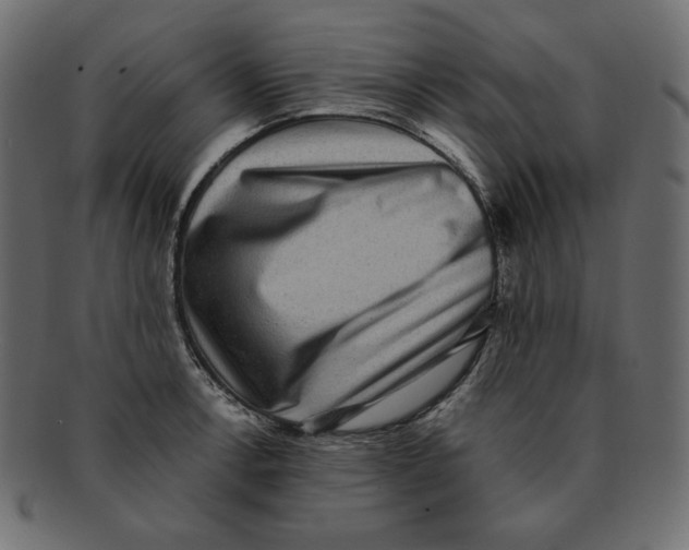 X0000091921138200710031033