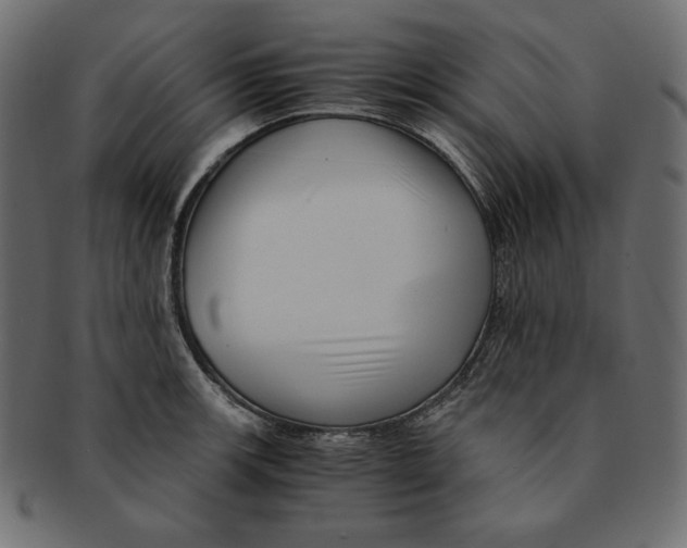 X0000091921139200710031033