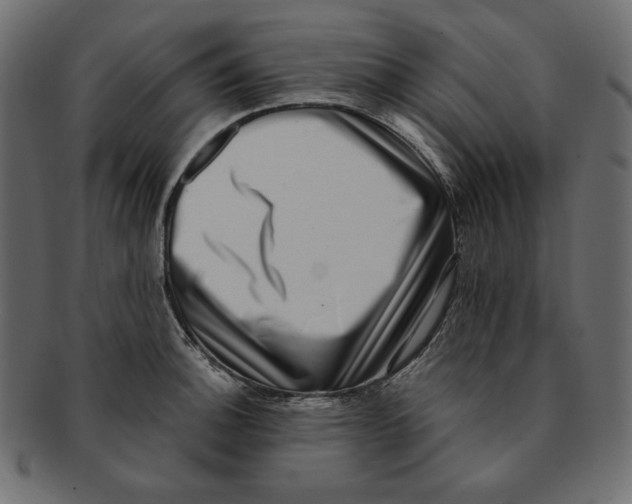 X0000091921140200710031033