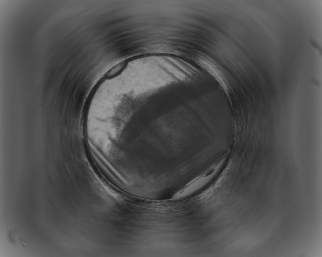 X0000091921141200710031033