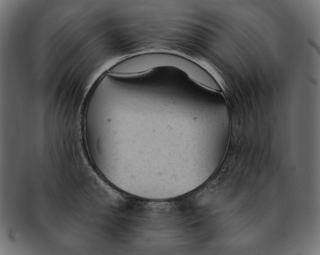 X0000091921142200710031033