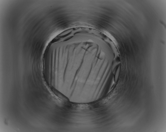 X0000091921144200710031033