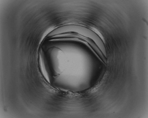 X0000091921146200710031033