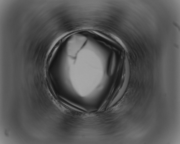 X0000091921148200710031033