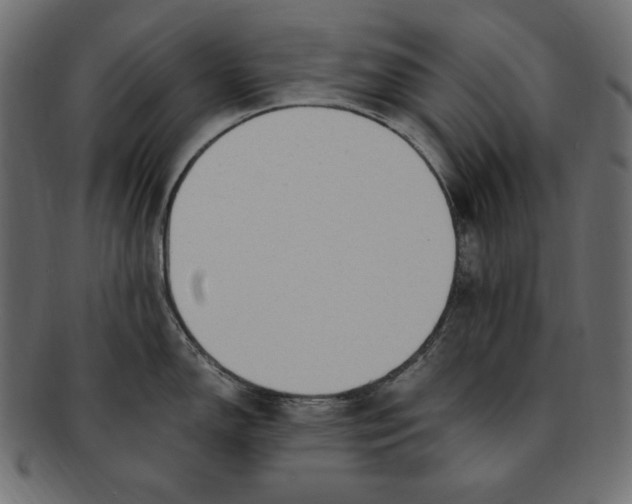 X0000091921150200710031033