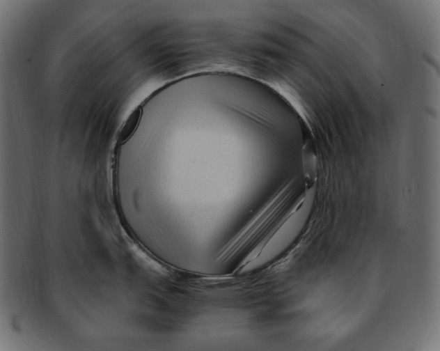 X0000091921151200710031034