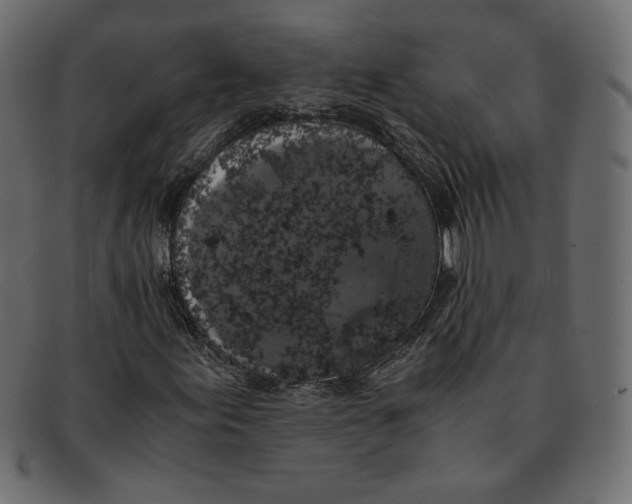 X0000091921155200710031033