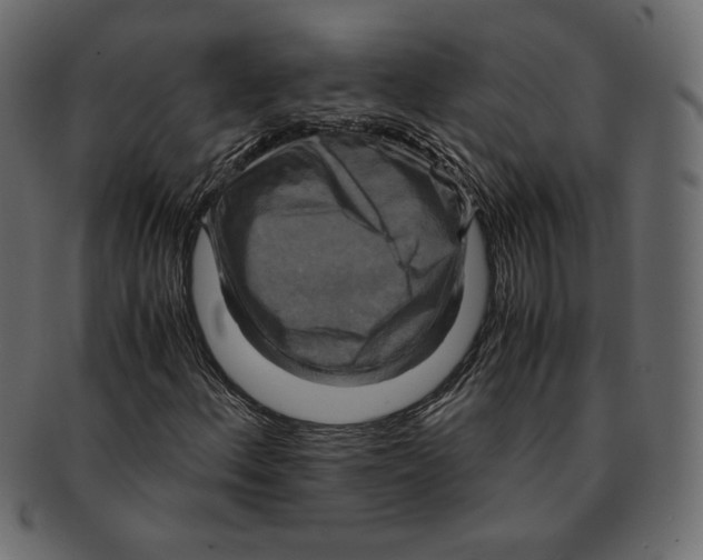 X0000091921156200710031033