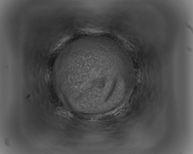 X0000091921157200710031033