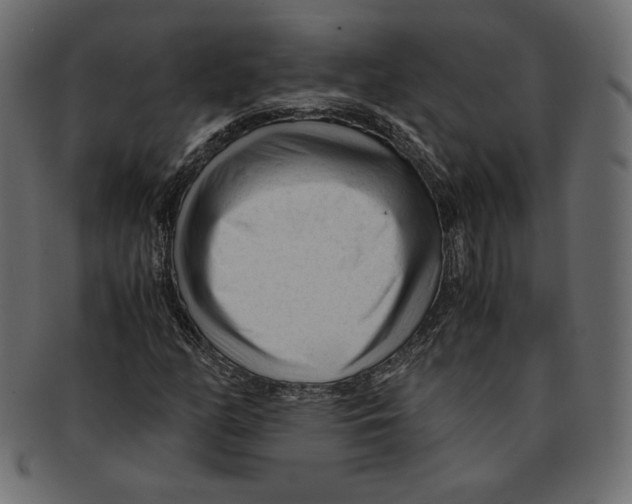 X0000091921158200710031033