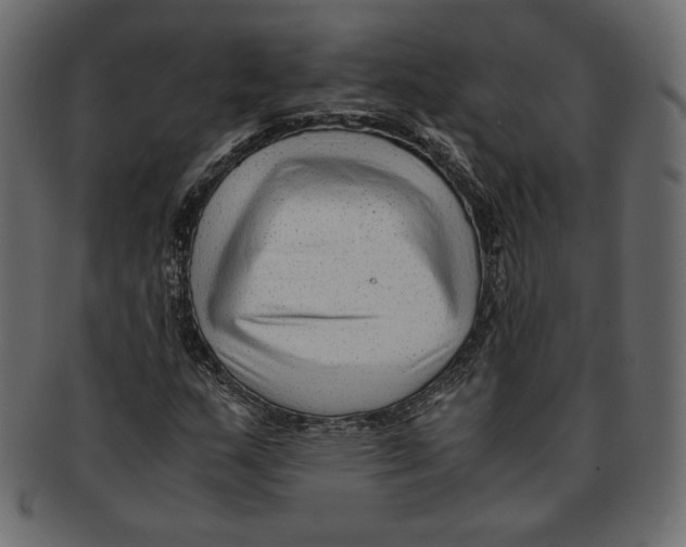 X0000091921159200710031033