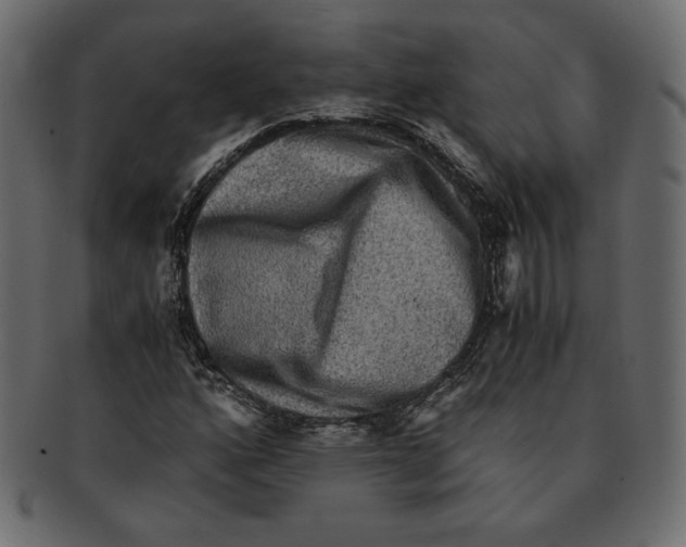 X0000091921160200710031033