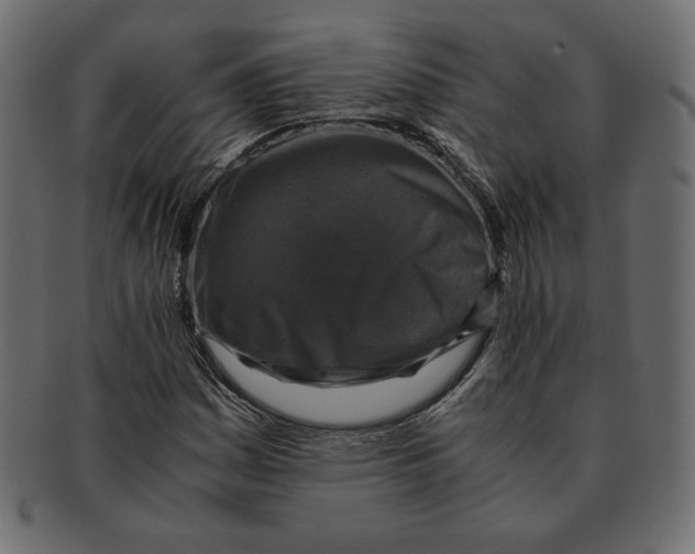 X0000091921161200710031033