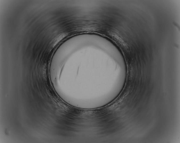 X0000091921162200710031033