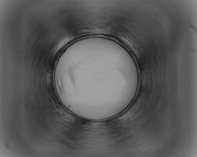 X0000091921163200710031033