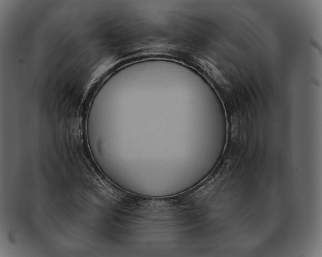 X0000091921164200710031033