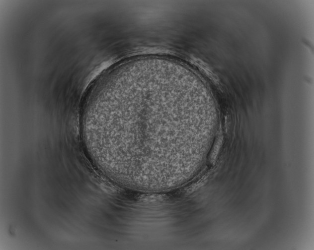 X0000091921165200710031033