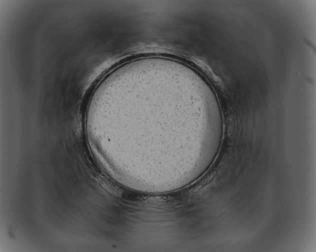 X0000091921167200710031033