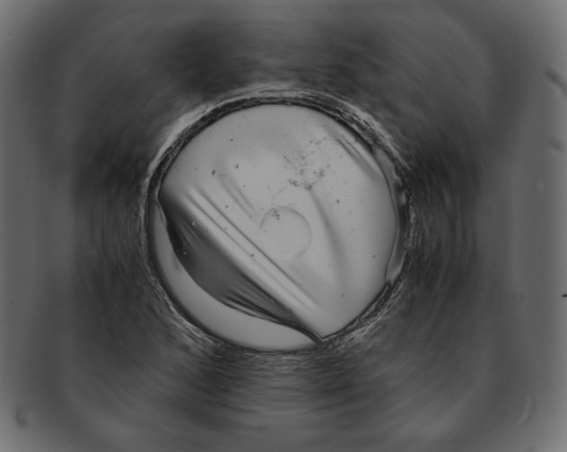 X0000091921168200710031033