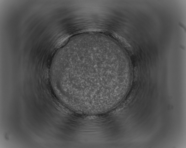 X0000091921169200710031033