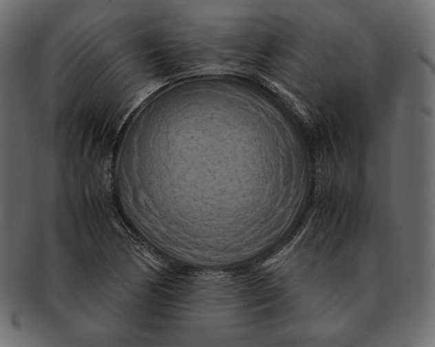 X0000091921170200710031033