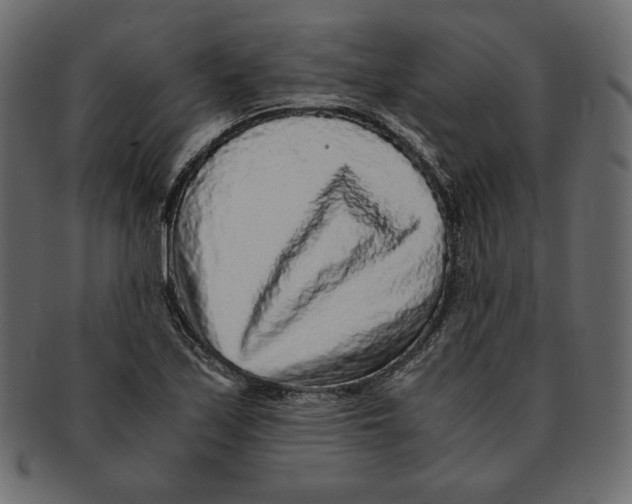 X0000091921171200710031033