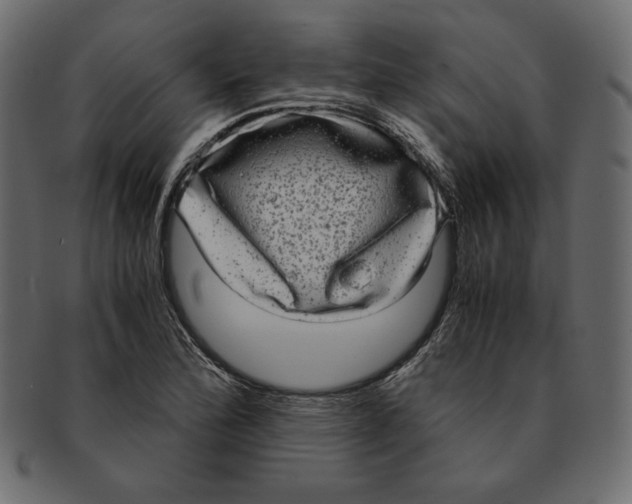 X0000091921172200710031033