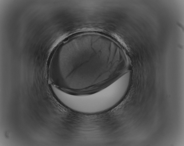 X0000091921173200710031033