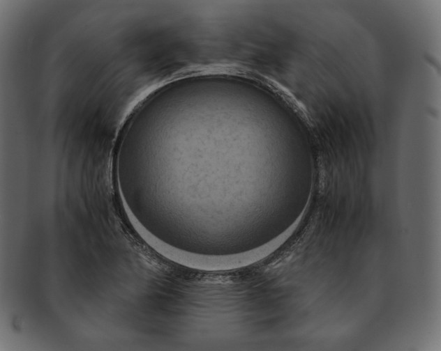 X0000091921174200710031033