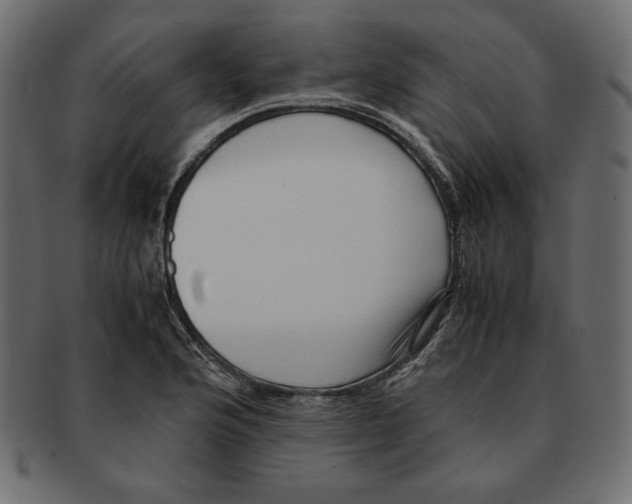 X0000091921176200710031033