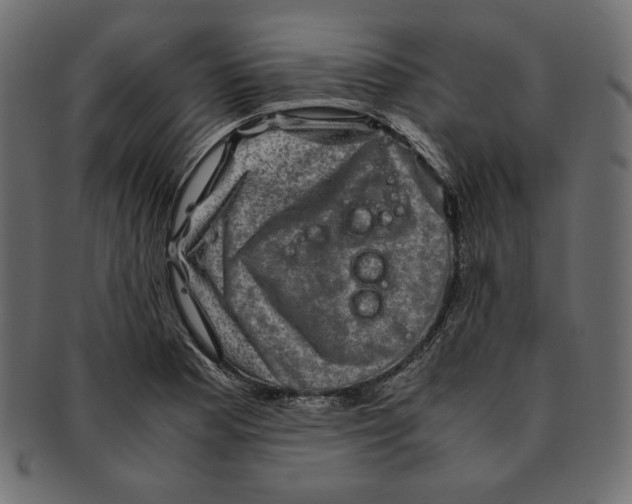 X0000091921177200710031032