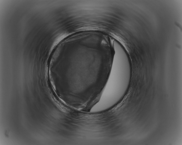 X0000091921179200710031032