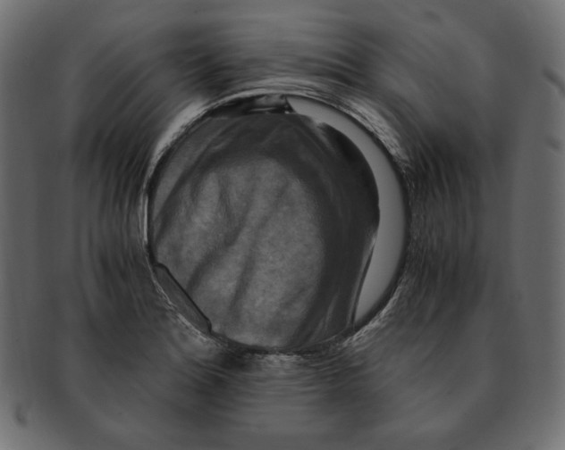 X0000091921180200710031032