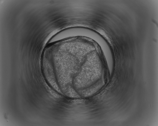 X0000091921181200710031032