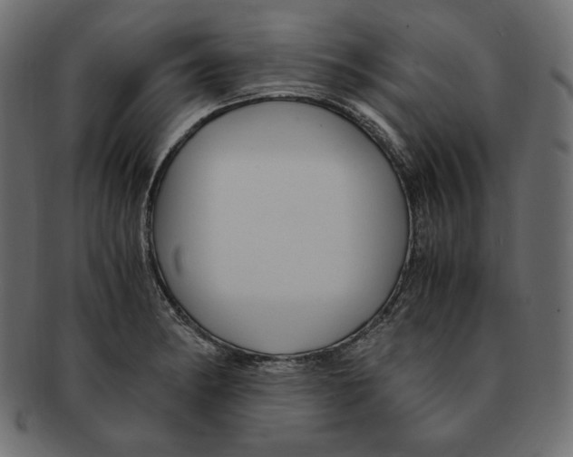 X0000091921182200710031032