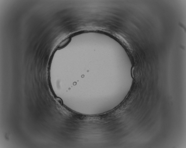 X0000091921183200710031032