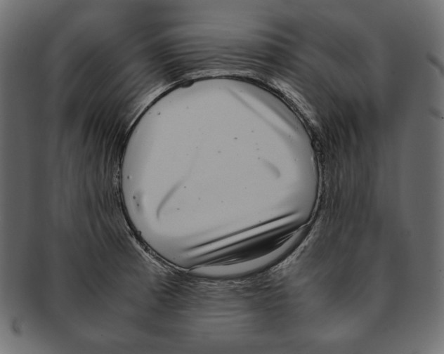 X0000091921185200710031032