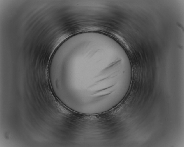 X0000091921186200710031032