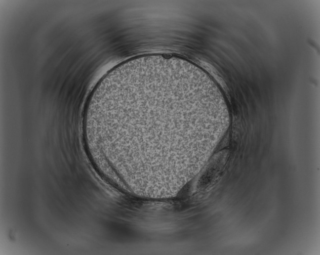 X0000091921187200710031032