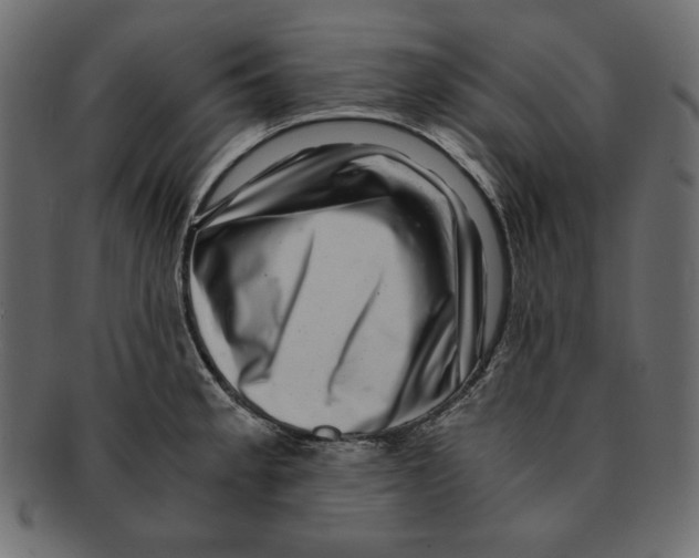 X0000091921189200710031032