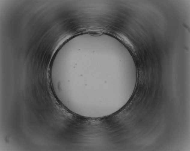 X0000091921190200710031032