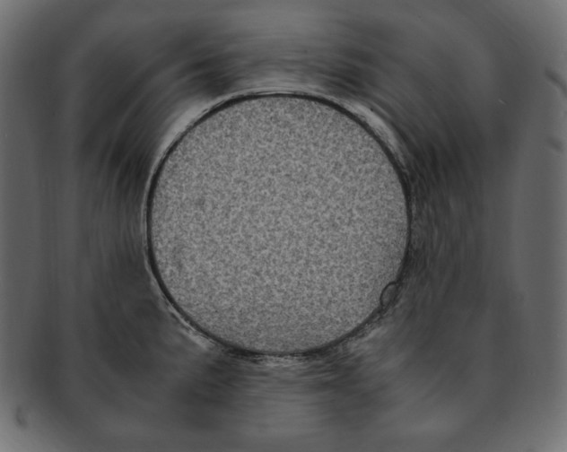 X0000091921191200710031032