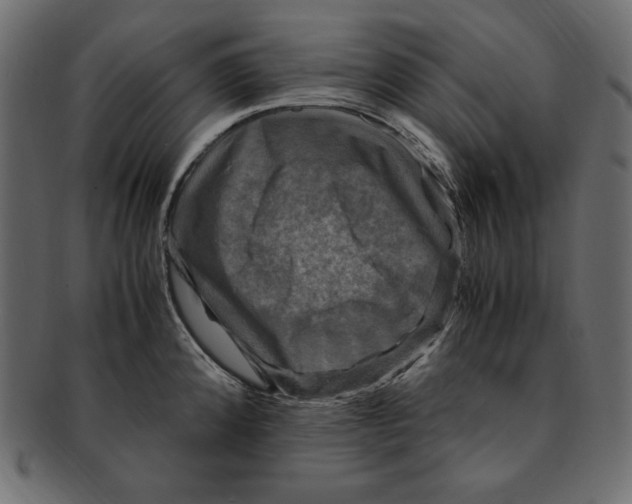 X0000091921192200710031032