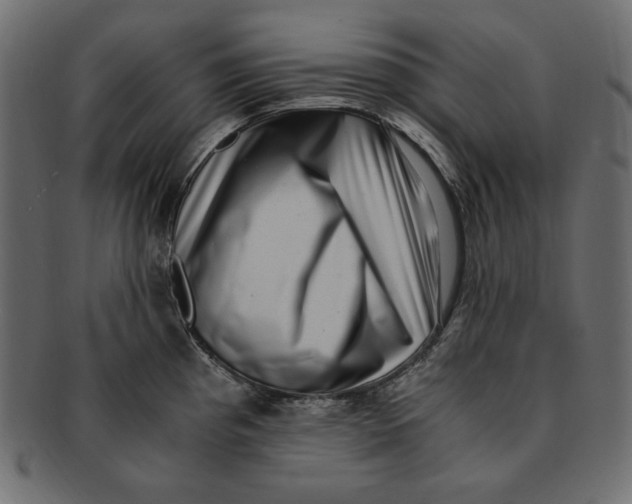 X0000091921193200710031032