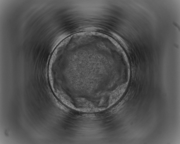 X0000091921194200710031032