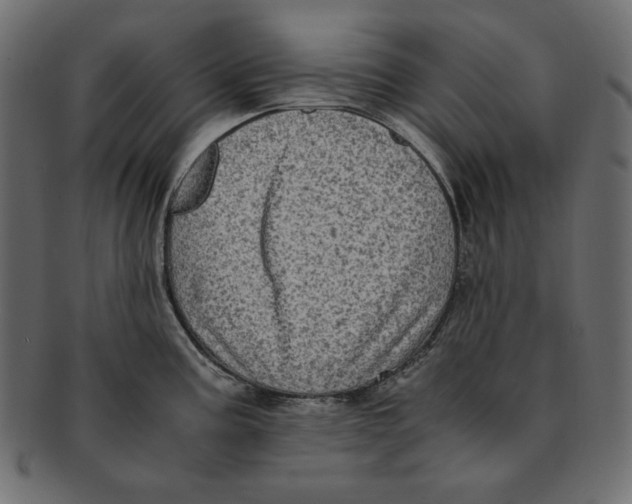 X0000091921195200710031032