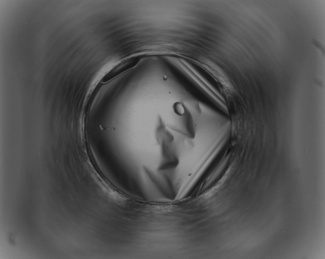 X0000091921196200710031032