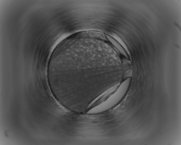 X0000091921197200710031032
